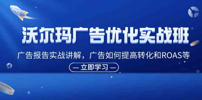 沃尔玛广告优化实战班，广告报告实战讲解，广告如何提高转化和ROAS等-来此网赚