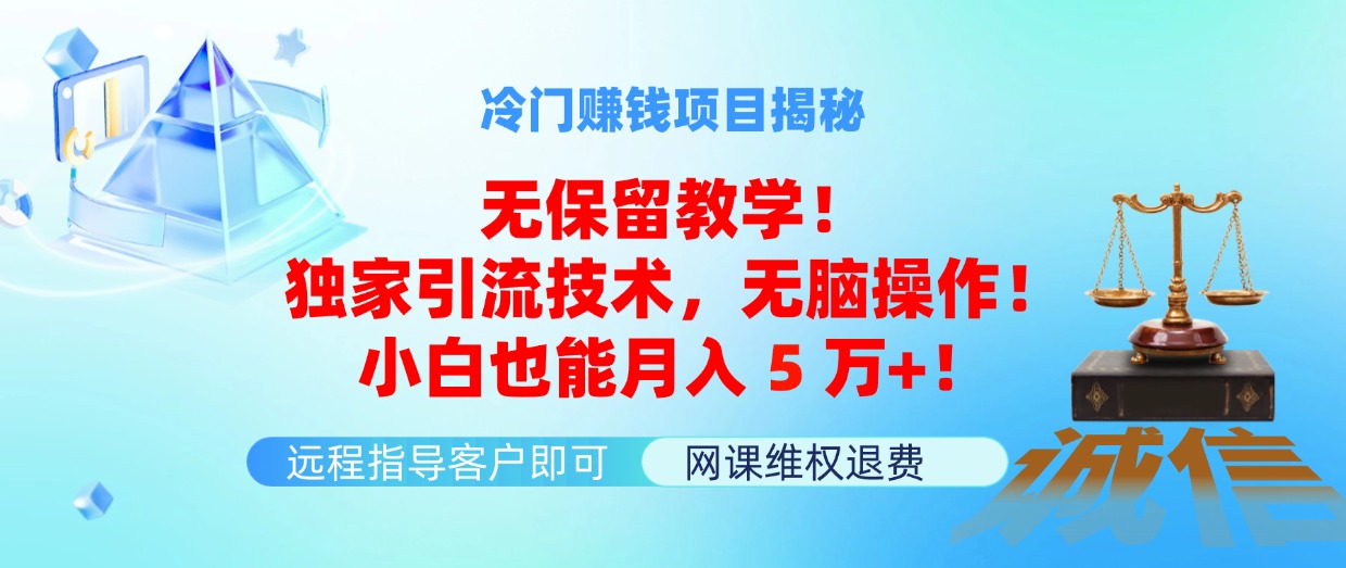 （11864期）冷门赚钱项目无保留教学！独家引流技术，无脑操作！小白也能月入5万+！-来此网赚