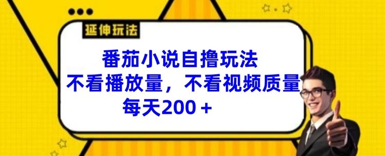 番茄小说自撸玩法，不看播放量，不看视频质量，每天200+【揭秘】-来此网赚