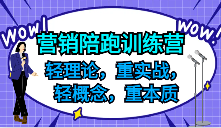 营销陪跑训练营，轻理论，重实战，轻概念，重本质，适合中小企业和初创企业的老板-来此网赚