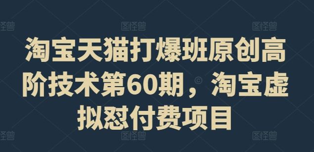 淘宝天猫打爆班原创高阶技术第60期，淘宝虚拟怼付费项目-来此网赚