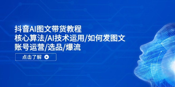 （11958期）抖音AI图文带货教程：核心算法/AI技术运用/如何发图文/账号运营/选品/爆流-来此网赚