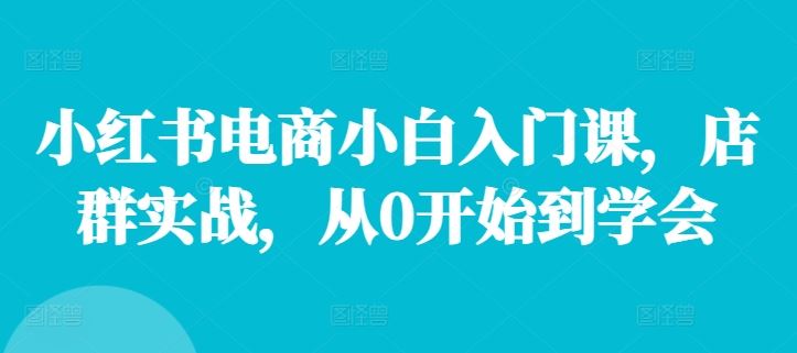 小红书电商小白入门课，店群实战，从0开始到学会-来此网赚