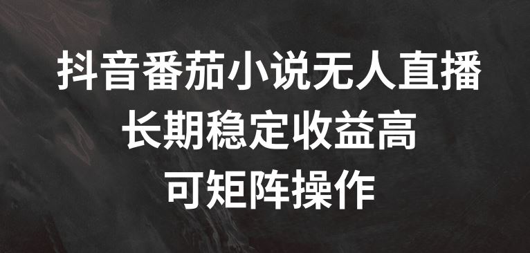 抖音番茄小说无人直播，长期稳定收益高，可矩阵操作【揭秘】-来此网赚