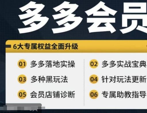 拼多多会员，拼多多实战宝典+实战落地实操，从新手到高阶内容全面覆盖-来此网赚