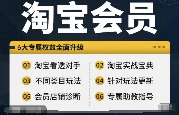 淘宝会员【淘宝所有课程，全面分析对手】，初级到高手全系实战宝典-来此网赚