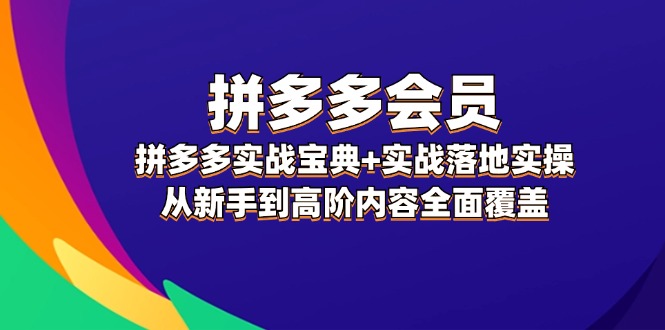 （12056期）拼多多 会员，拼多多实战宝典+实战落地实操，从新手到高阶内容全面覆盖-来此网赚