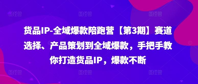 货品IP全域爆款陪跑营【第3期】赛道选择、产品策划到全域爆款，手把手教你打造货品IP，爆款不断-来此网赚