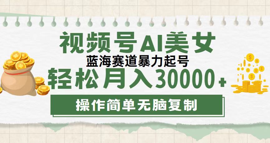 （12087期）视频号AI美女跳舞，轻松月入30000+，蓝海赛道，流量池巨大，起号猛，无…-来此网赚