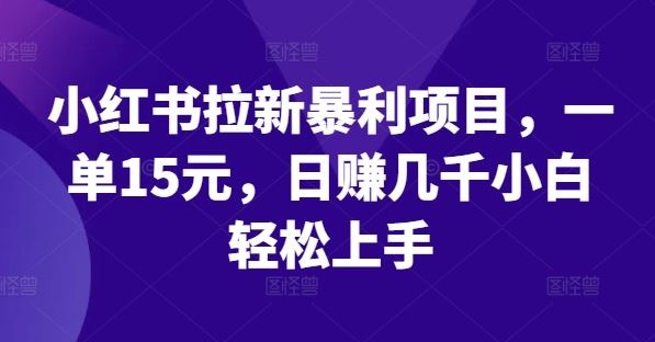 小红书拉新暴利项目，一单15元，日赚几千小白轻松上手【揭秘】-来此网赚