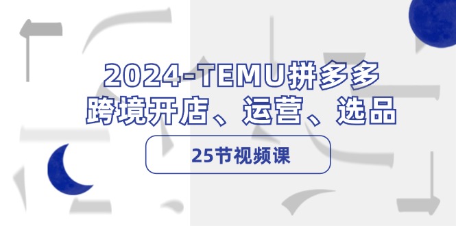 （12106期）2024-TEMU拼多多·跨境开店、运营、选品（25节视频课）-来此网赚