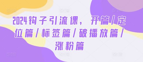 2024钩子引流课，开篇/定位篇/标签篇/破播放篇/涨粉篇-来此网赚