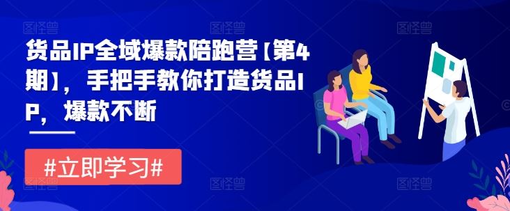 货品IP全域爆款陪跑营【第4期】，手把手教你打造货品IP，爆款不断-来此网赚