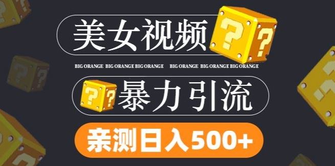 搬运tk美女视频全网分发，日引s粉300+，轻松变现，不限流量不封号【揭秘】-来此网赚