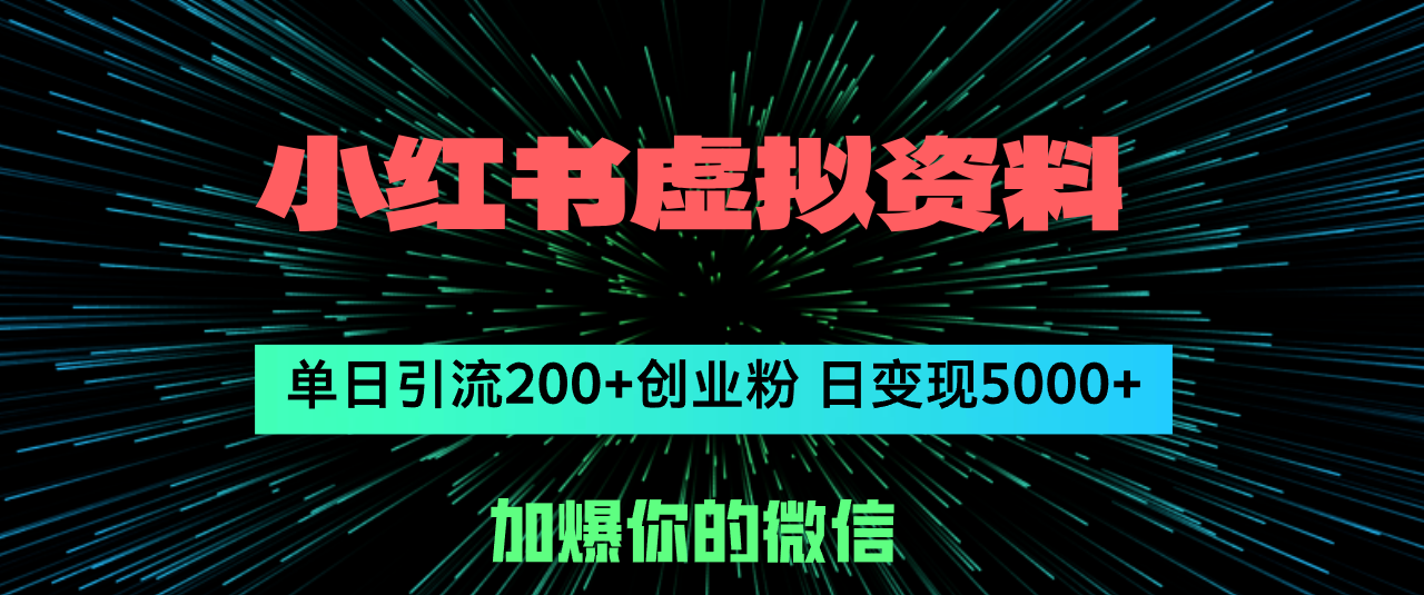 （12164期）小红书虚拟资料日引流200+创业粉，单日变现5000+-来此网赚