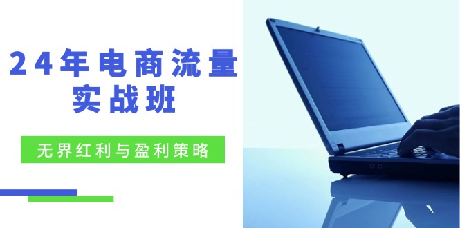 （12168期）24年电商流量实战班：无界 红利与盈利策略，终极提升/关键词优化/精准…-来此网赚