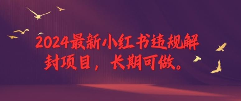 2024最新小红书违规解封项目，长期可做，一个可以做到退休的项目【揭秘】-来此网赚