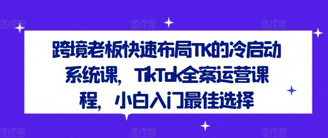 跨境老板快速布局TK的冷启动系统课，TikTok全案运营课程，小白入门最佳选择-来此网赚