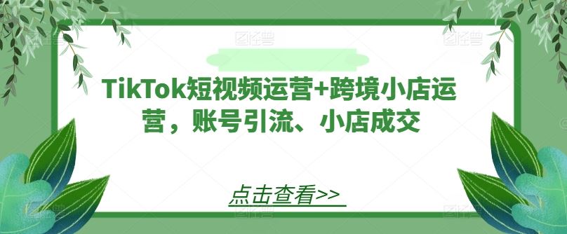 TikTok短视频运营+跨境小店运营，账号引流、小店成交-来此网赚