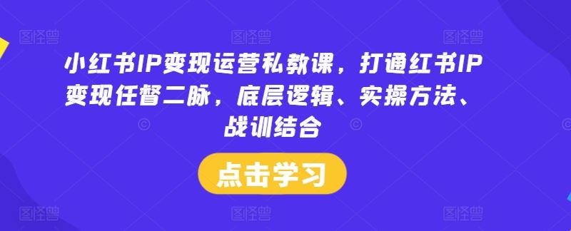 小红书IP变现运营私教课，打通红书IP变现任督二脉，底层逻辑、实操方法、战训结合-来此网赚