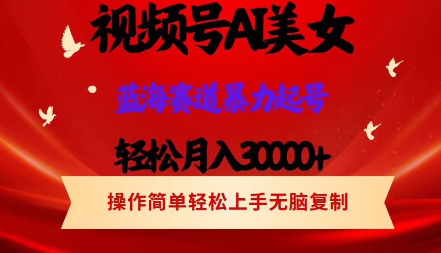 （12178期）视频号AI美女跳舞，轻松月入30000+，蓝海赛道，流量池巨大，起号猛，当…-来此网赚