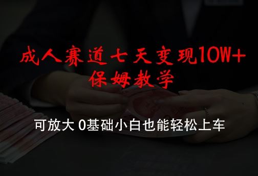 成人赛道七天变现10W+保姆教学，可放大，0基础小白也能轻松上车【揭秘】-来此网赚