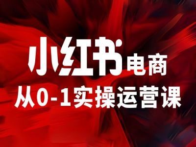 小红书电商从0-1实操运营课，让你从小白到精英-来此网赚