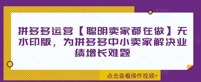 拼多多运营【聪明卖家都在做】无水印版，为拼多多中小卖家解决业绩增长难题-来此网赚