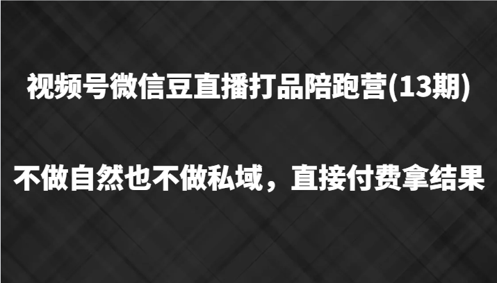 视频号微信豆直播打品陪跑(13期)，不做不自然流不做私域，直接付费拿结果-来此网赚