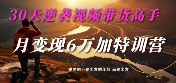 30天逆袭视频带货高手，单月变现6万加特训营-麦子甜-来此网赚