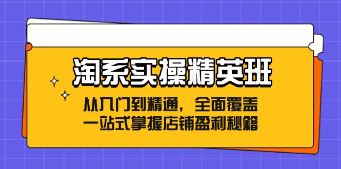 （12276期）淘系实操精英班：从入门到精通，全面覆盖，一站式掌握店铺盈利秘籍-来此网赚