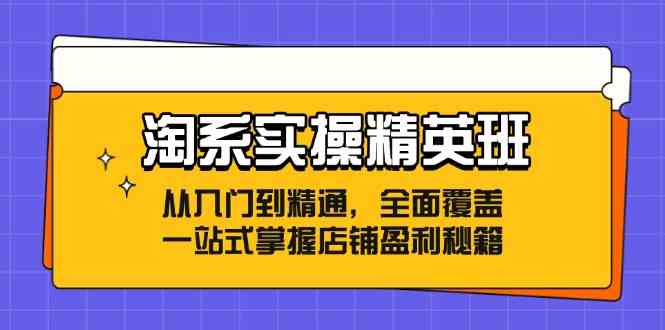 淘系实操精英班：从入门到精通，全面覆盖，一站式掌握店铺盈利秘籍-来此网赚