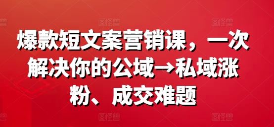 爆款短文案营销课，一次解决你的公域→私域涨粉、成交难题-来此网赚