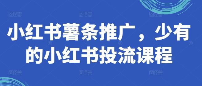 小红书薯条推广，少有的小红书投流课程-来此网赚