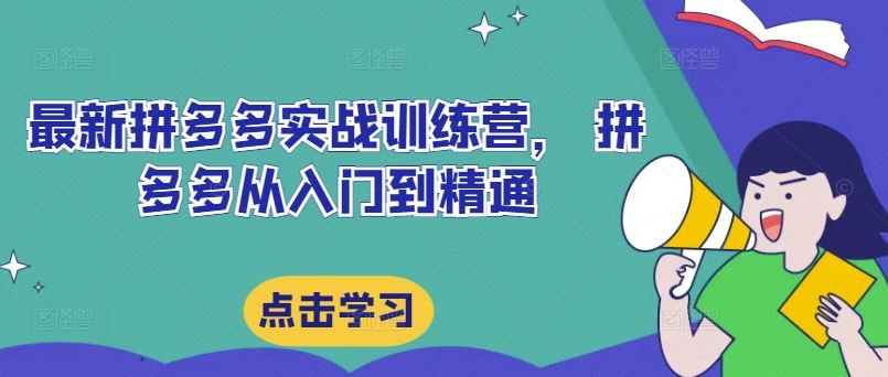 最新拼多多实战训练营， 拼多多从入门到精通-来此网赚