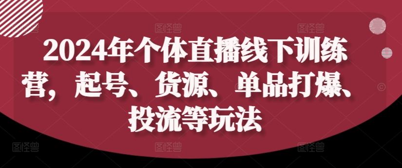 2024年个体直播训练营，起号、货源、单品打爆、投流等玩法-来此网赚