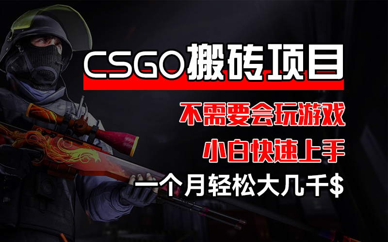 （12332期）CSGO 装备搬砖项目，操作简单，不需要会玩游戏，小白也能快速上手，一…-来此网赚