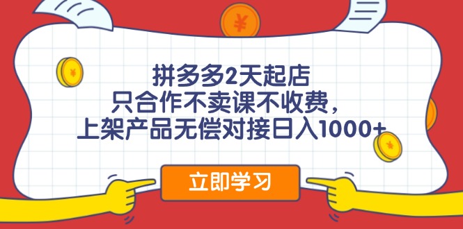 （12356期）拼多多0成本开店，只合作不卖课不收费，0成本尝试，日赚千元+-来此网赚