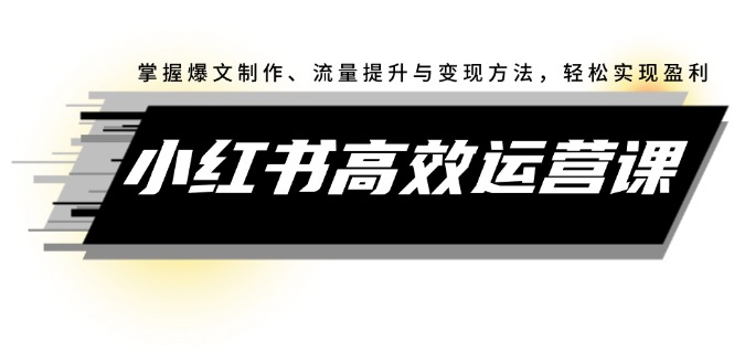 （12369期）小红书高效运营课：掌握爆文制作、流量提升与变现方法，轻松实现盈利-来此网赚