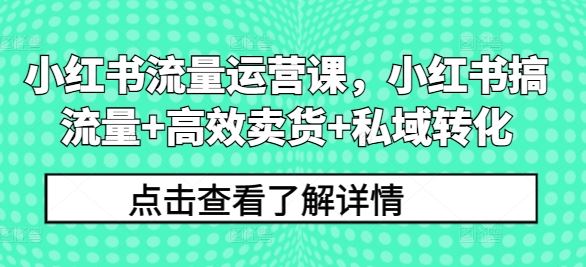 小红书流量运营课，小红书搞流量+高效卖货+私域转化-来此网赚