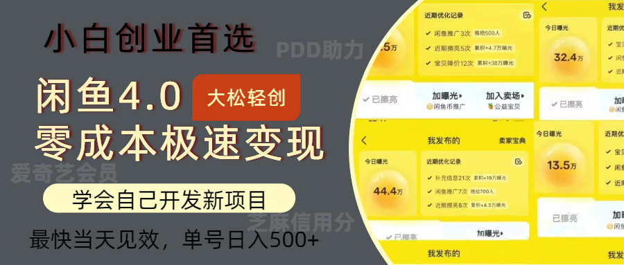 （12434期）闲鱼0成本极速变现项目，多种变现方式 单号日入500+最新玩法-来此网赚